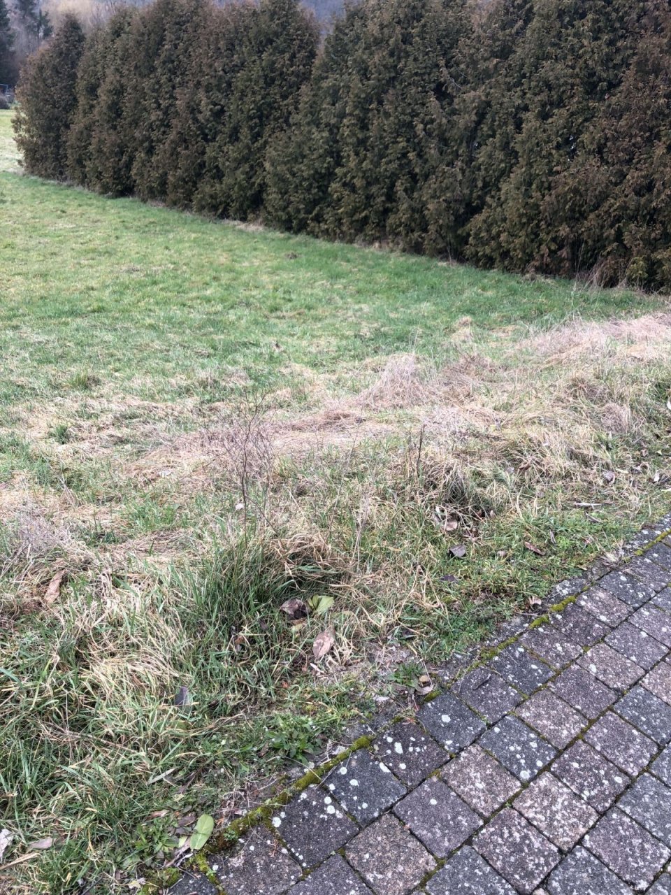 Bestpreisgarantie bei Bien-Zenker - Haus mit Bauplatz in Ransweiler