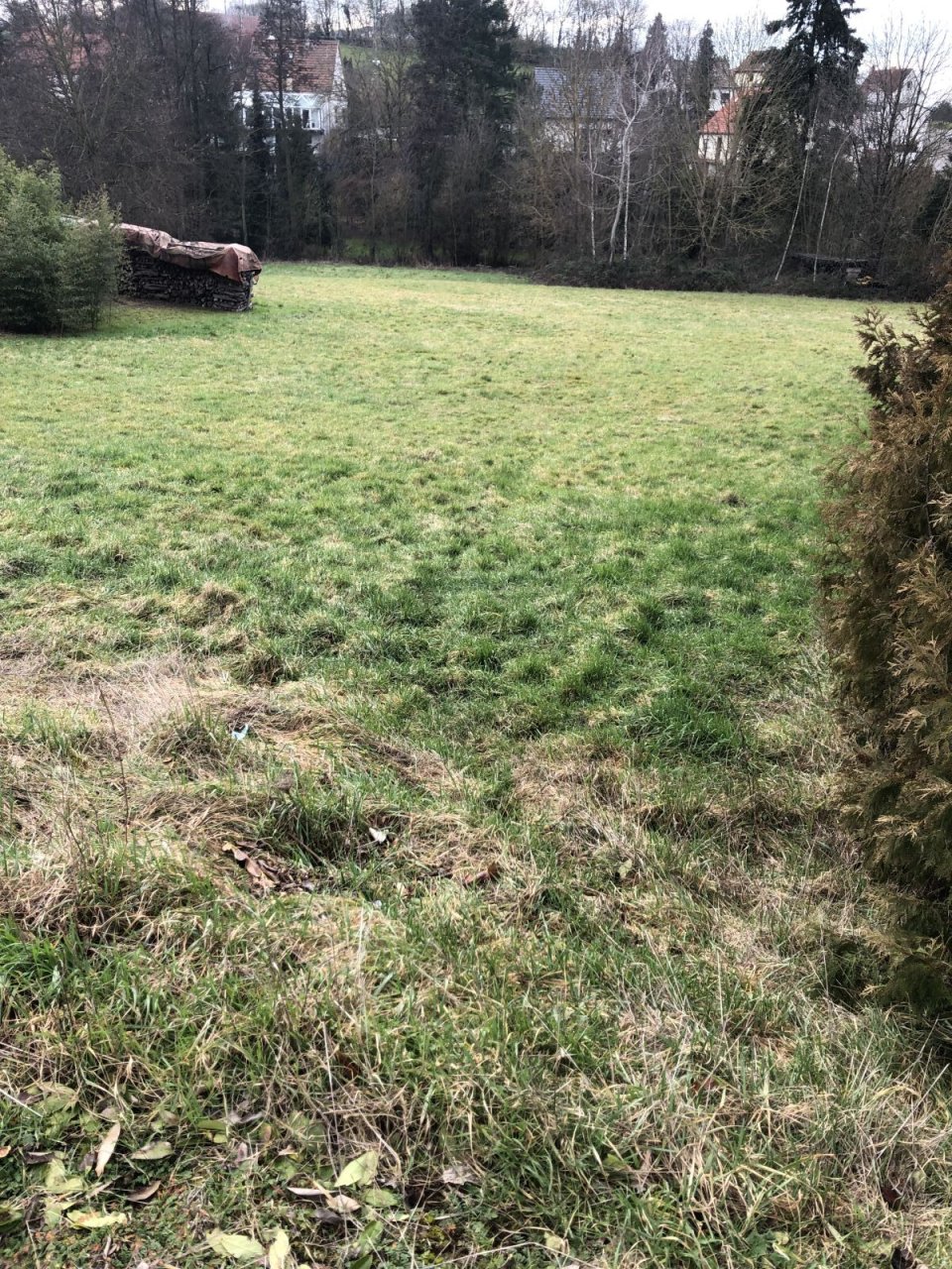 Verwirklichen Sie Ihr Traumhaus inkl. Bauplatz in Ransweiler - Bien-Zenker