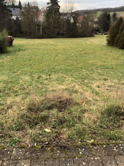 Grundstück - Ansicht 1